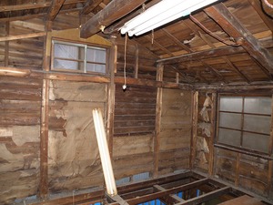 P5120599