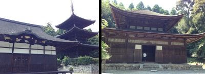 shiga015
