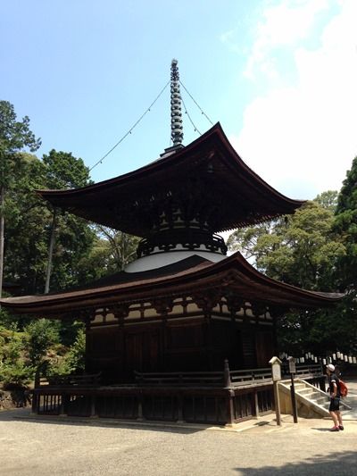 shiga007