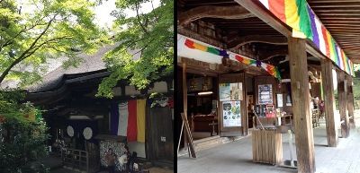 shiga006