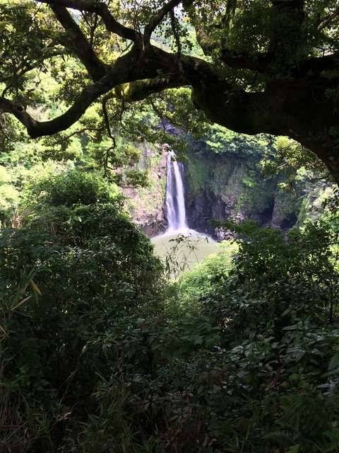 写真 2014-05-19 11 47 49