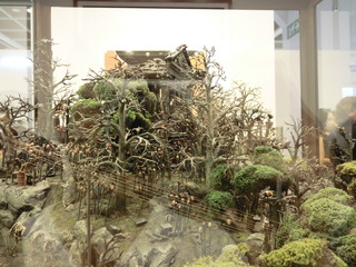 CIMG6134