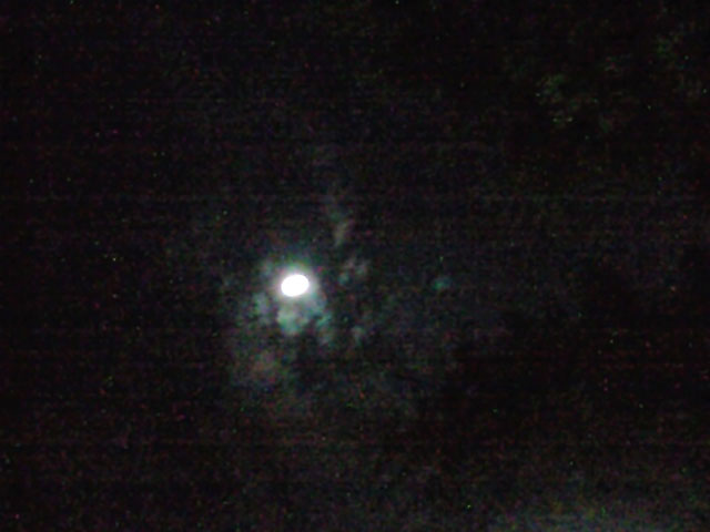 20150928¥¹¡¼¥Ñ¡¼¥à¡¼¥ó(Ëþ·î)