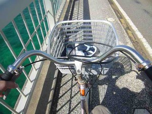 53愛車