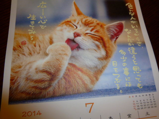 画素数低い猫てすと用
