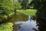 DSC00825