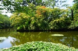 DSC00834