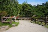 DSC00820