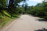 DSC00833