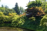 DSC00841