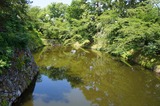 DSC00824