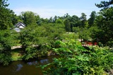 DSC00819