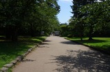 DSC00828