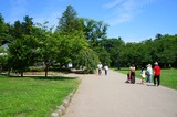 DSC00826