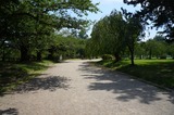 DSC00818