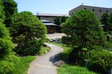 DSC00903