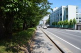 DSC00851