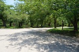 DSC00817
