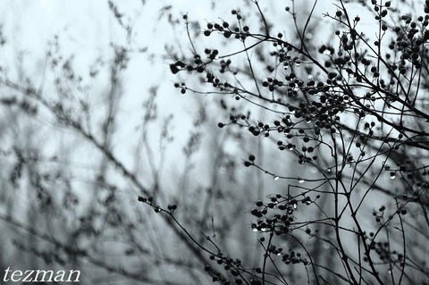 120207Į1