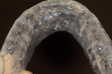d970fcac.gif