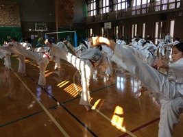 IMG_1166
