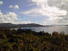 蝶々園から望む東シナ海