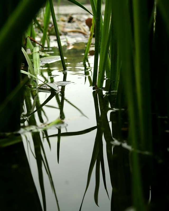 DSCN1907a