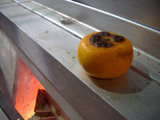焼きみかん
