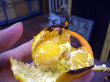 食す