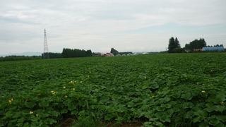 P1020847