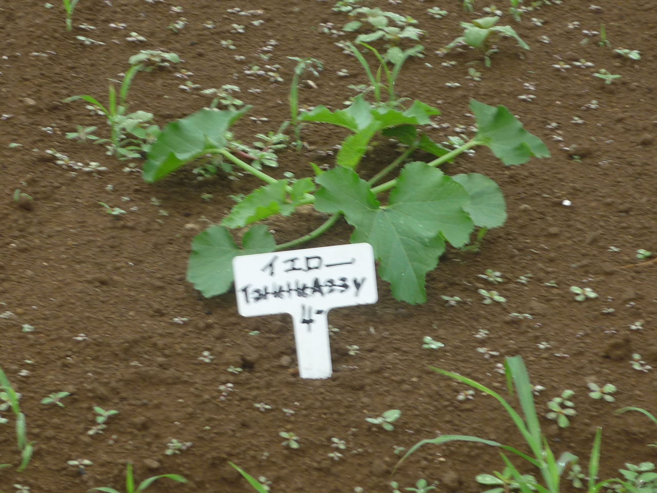 P1000772