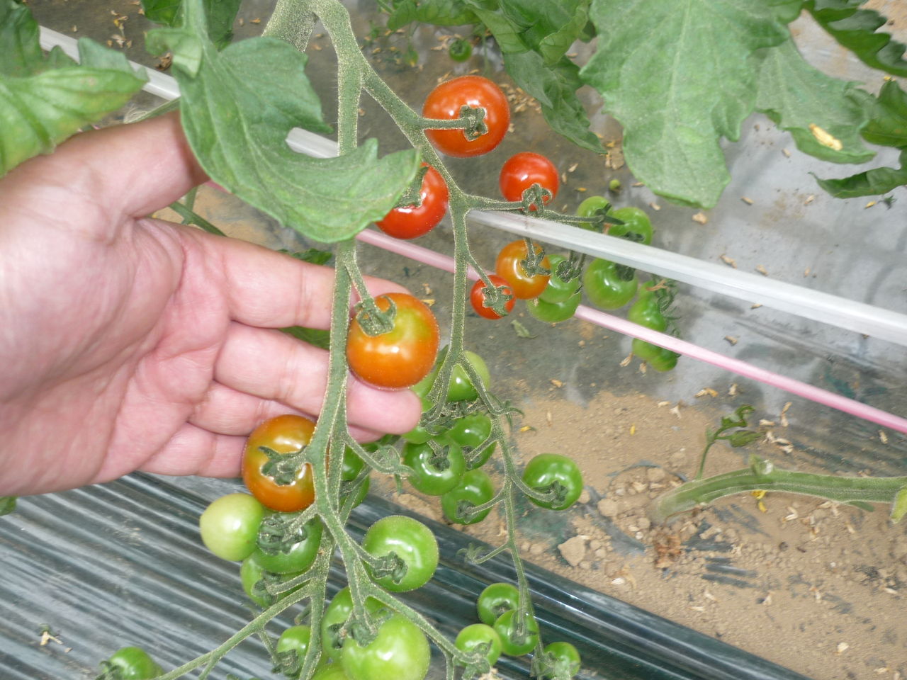 P1000771
