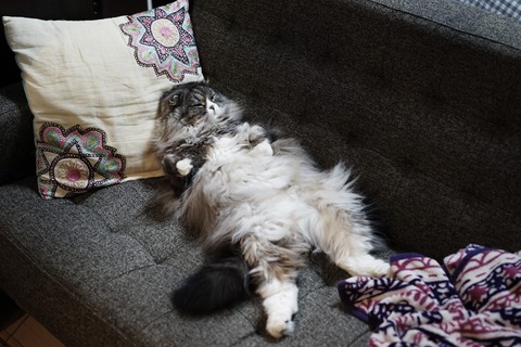 HIRAyottesofa_TP_V