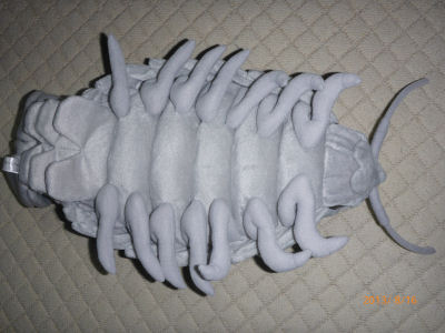Bathynomus_giganteus3