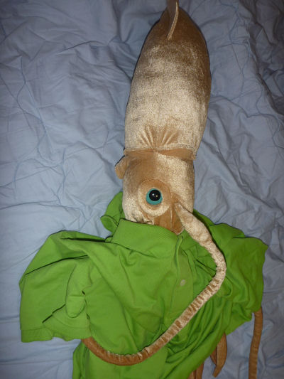 squid2