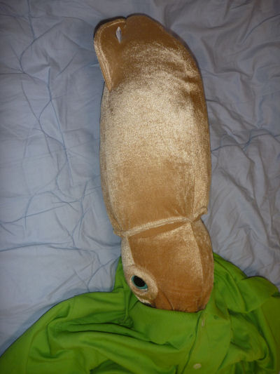 squid1