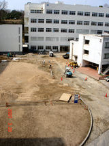e6d91f61.jpg