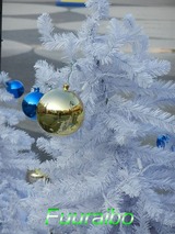 ���؎��ώ�3