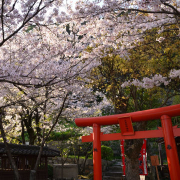 北野天満神社_2