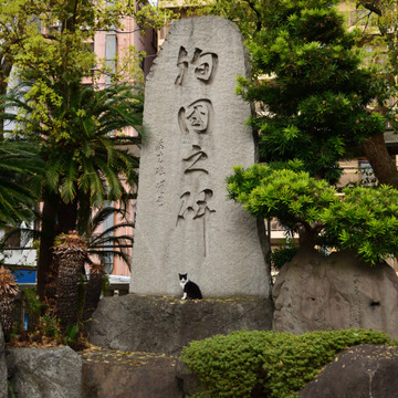 難波八阪神社_1