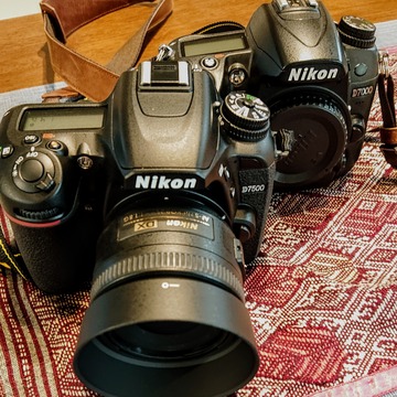 NikonD7500 2