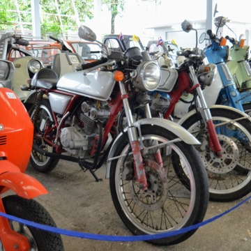 Dream50