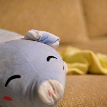 SIGMA 50_100 F1.8 DC 5