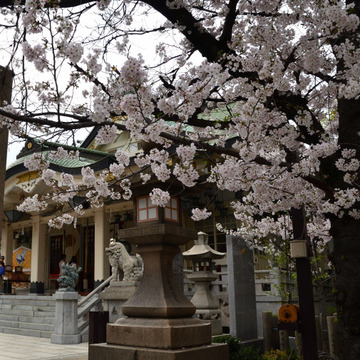 難波八阪神社_2