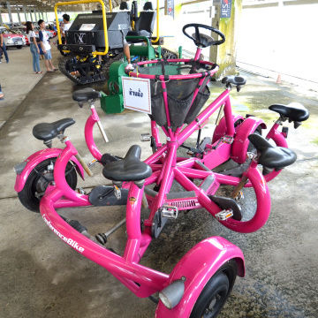 Conferencebike