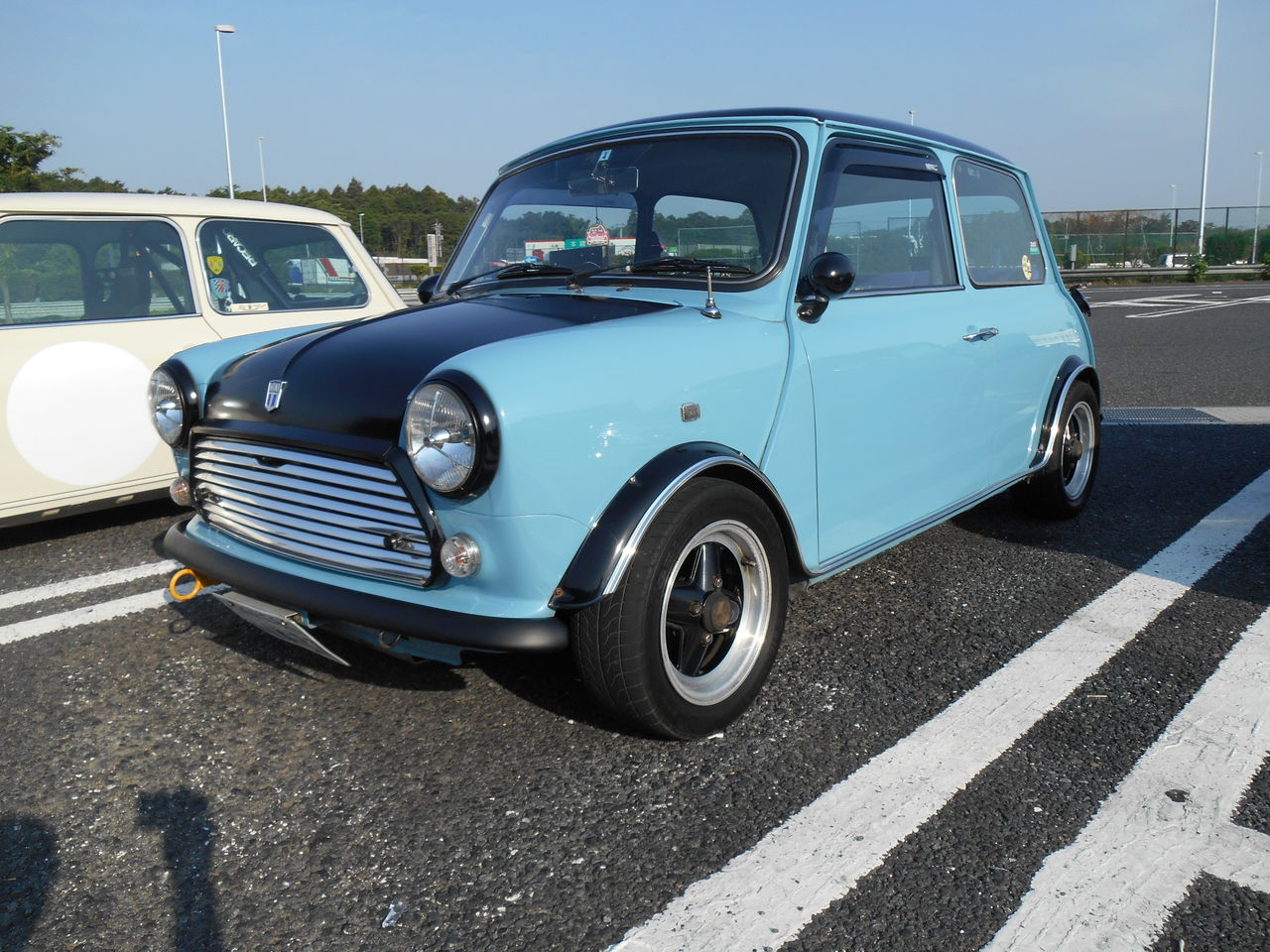 DSCN6050