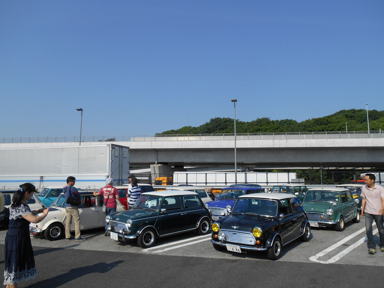 DSCN6061