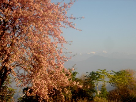 DSC00064