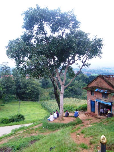 P1190009