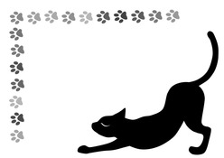 BlackCat
